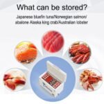 Ultra-Low Temperature Freezer -80°C, 328L Large Capacity Commercial Chest Freezer for Seafood Storage - Image 4